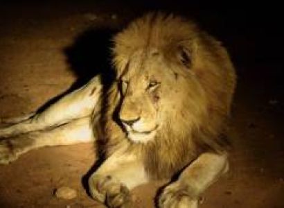 Night Game Drive In Lumo Conservancy Tour