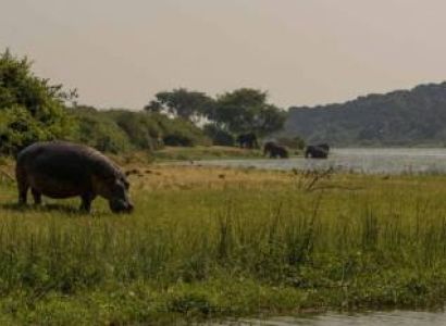Boat Safari In Queen Elizabeth National Park Tour