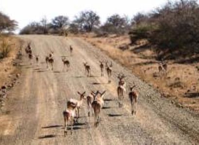 Drive From Hoedspruit To Kruger National Park - Orpen Gate