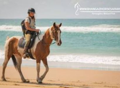 Beach And Bush - Horse Riding In St Lucia Tour