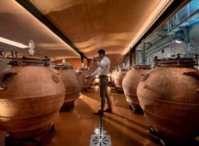 Babylonstoren Cellar Tour And Wine Tasting Tour