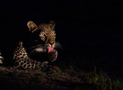 Night Game Drive In Lake Mburo National Park Tour