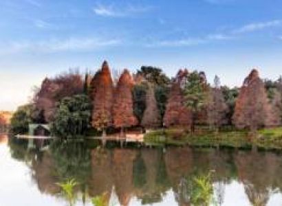 Visit The Johannesburg Botanical Garden Tour