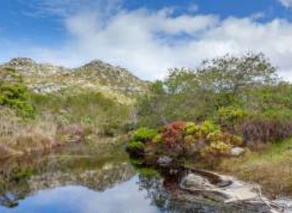 Visit Table Mountain Tour