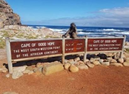 Cape Of Good Hope - Cape Point And The African Penguins Tour