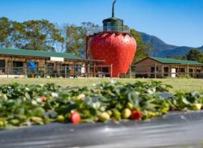 Lunch At Redberry Farm Tour
