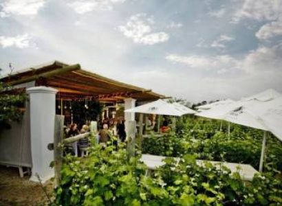 Wine Tasting And Lunch At Bramon Wine Estate Tour