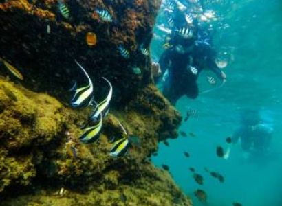 Snorkeling At Cape Vidal Tour