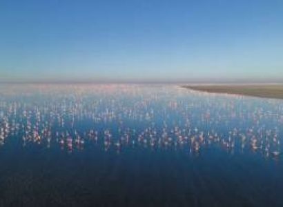 Visit The Nata Bird Sanctuary Tour