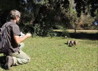 Visit The Caracal Biodiversity Centre Tour