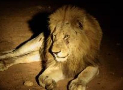 Taita Hills Wildlife Sanctuary And Lumo Conservancy Tour