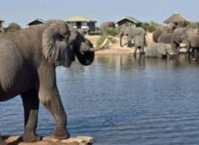 Relaxing And Animal Viewing At The Waterhole Of The Elephant Sands Lodge
