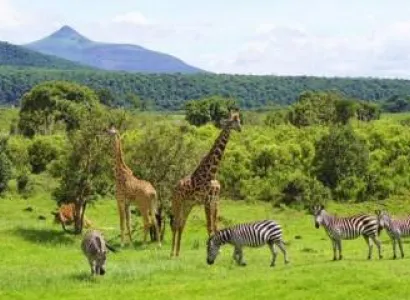 4‑Day Luxury Family Safari Itinerary (Southern Tanzania)