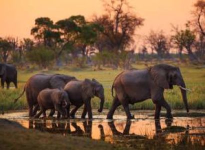2‑Day Ruaha Safari Itinerary