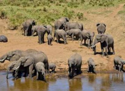 day‑trip to Tarangire National Park