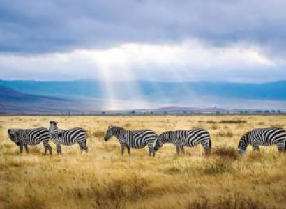 day trip to Ngorongoro Crater