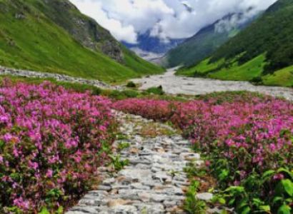Valley Of Flowers - Hemkund Sahib Tour