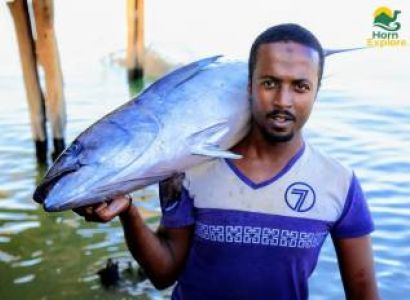 3 Days Somaliland: Ancient Laas Geel & Historic Berbera Tour