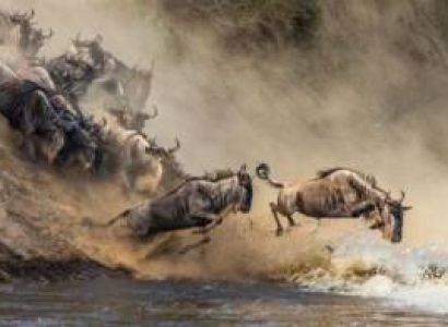 7 Days Kenya Safari Tour