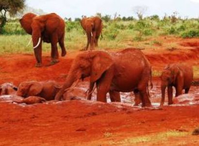2 Days Safari - Tsavo East Tour