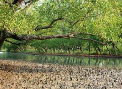 2 Nights 3 Days Sundarban Safari Package Bangladesh For Symphony Of The Wave Cruise