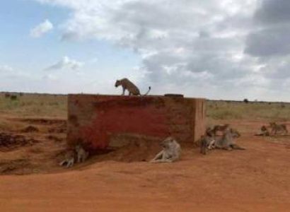 2 Days Tsavo East Tour