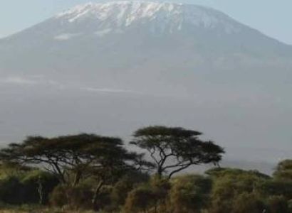 7 Days Kilimanjaro Climbing Umbwe Route Tour