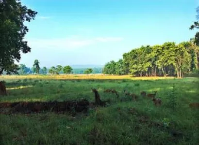 Bandhavgarh Tiger Safari Tour