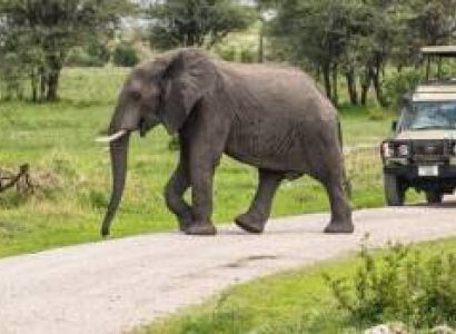 5 Days Big Five Safari