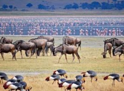 6 Days 5 Night Serengeti National Park