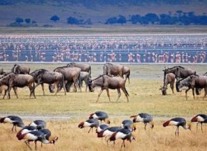 3-Day Tarangire & Ngorongoro Crater Safari
