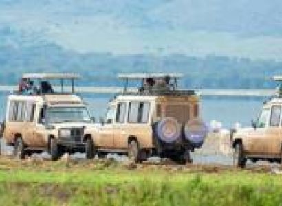 2 Day Tanzania Safari Tour From Zanzibar