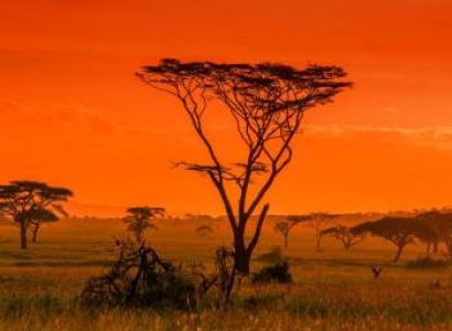 3 Day Safari From Zanzibar To Serengeti And Ngorongoro Tour