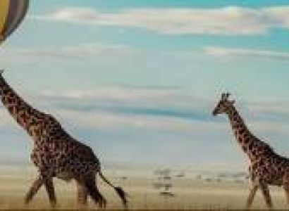 Luxury Serengeti Fly-In - Out Safari - 4 Days In Tanzania Tour