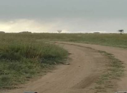 14 Days 13 Night Safari And Pangani Beach Tour