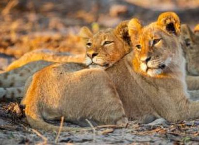 9 Nights 10 Days - Southern Tanzania Special Tour Package