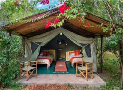 7 Days Nairobi & Masai Mara & Nakuru Tour Package Budget