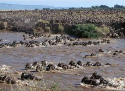4 Days Nairobi & Masai Mara Budget Holiday