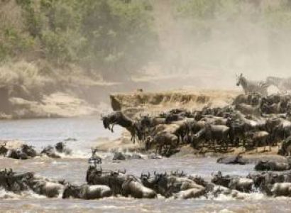 Masai Mara 3D/2N Budget Travel Package