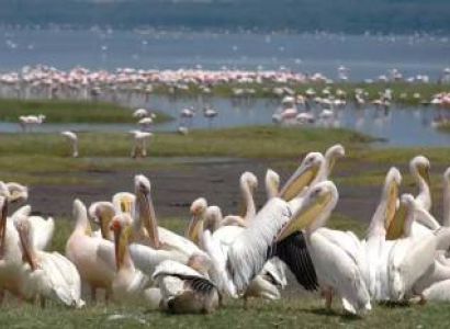 6 Days Samburu - Lake Nakuru - Masai Mara Tour