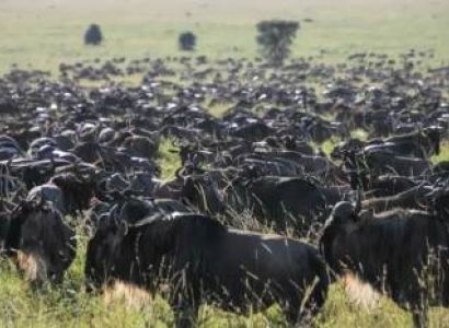 6 Days Arusha Tour Package Budget