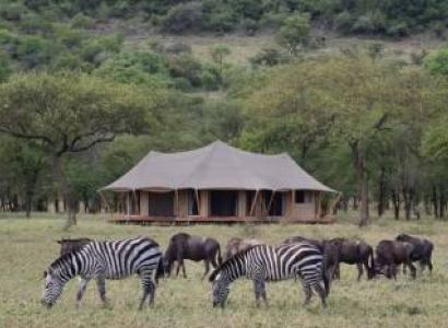 Masai Mara & Arusha Tour Package - 5 Days Budget