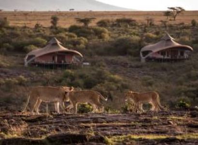 Masai Mara & Arusha 8D/7N Budget Travel Package