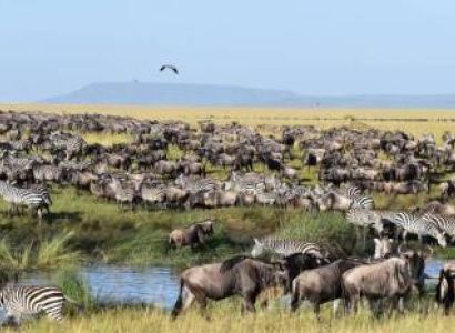 Masai Mara & Arusha 6 Days Budget Tour Package