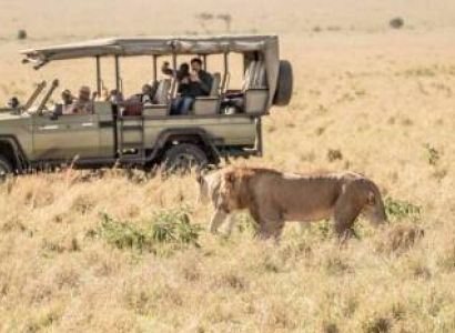 12 Days Budget Tour Nairobi & Masai Mara & Nakuru & Mombasa & Taita Taveta