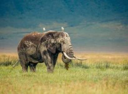 6 Nights - 7 Days Northern Circuit Tour