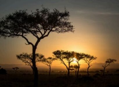 Elephants To Big Cats Safari Tour