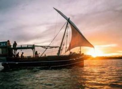 Half Day Sailing Trips