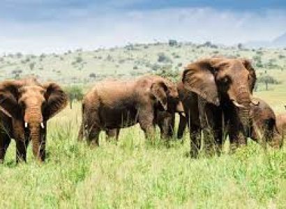 3-Day Kidepo Valley NP Safari Vacation to Uganda