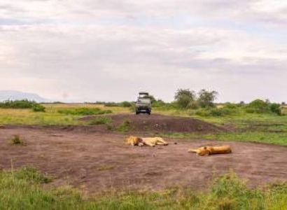 5-Day Safari Holiday To Murchison Falls - Semuliki NP Tour